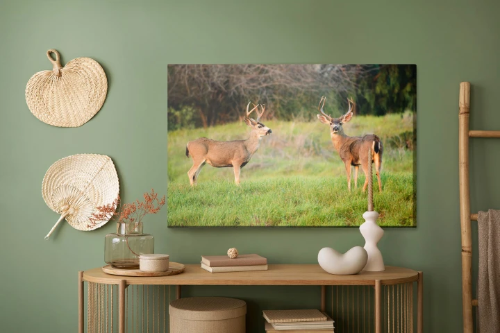 Obraz Na Płótnie Dwa Młode Jelenie