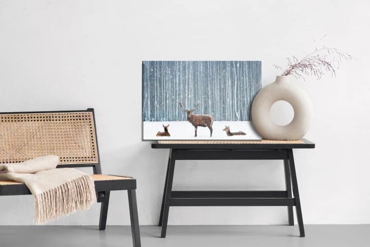 Obraz Na Płótnie Jeleń I Łanie W Zimowym Lesie