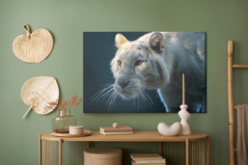 Obraz Na Płótnie Piękny Biały Tygrys