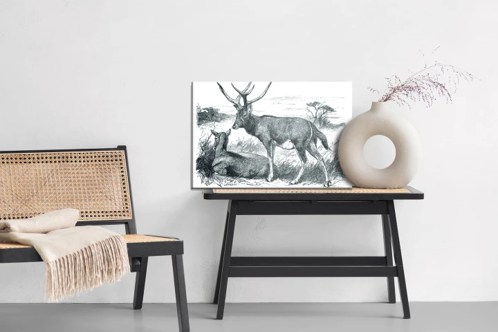 Obraz Na Płótnie Szkic Z Jeleniami