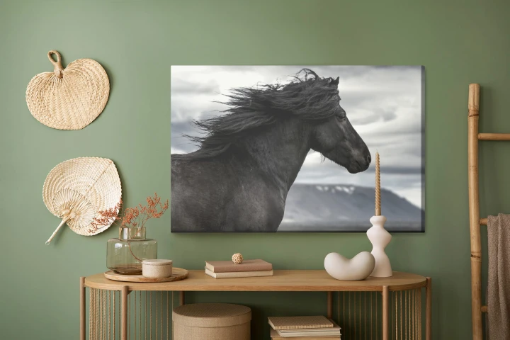 Obraz Na Płótnie Czarny Koń Na Tle Chmur