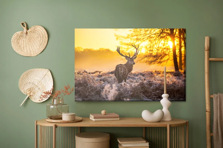 Obraz Na Płótnie Jeleń W Porannym Słońcu
