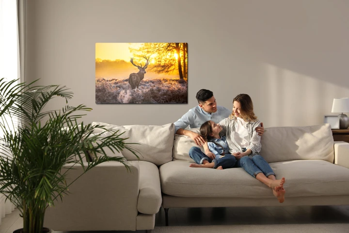 Obraz Na Płótnie Jeleń W Porannym Słońcu