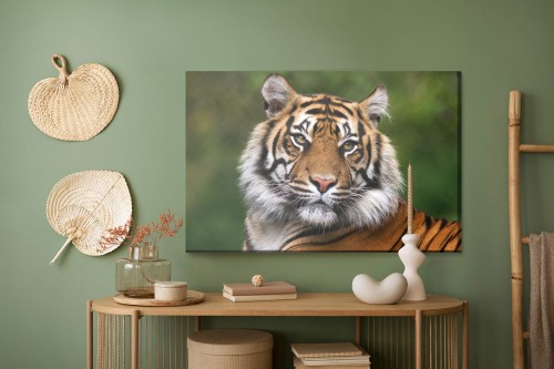 Obraz Na Płótnie Portret Tygrysa Bengalskiego