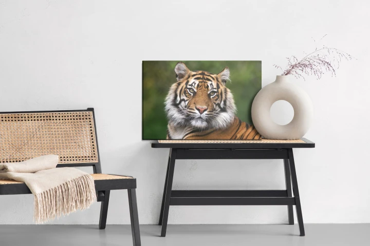 Obraz Na Płótnie Portret Tygrysa Bengalskiego