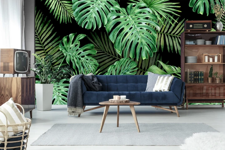 Fototapeta Liście Monstera
