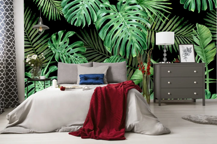 Fototapeta Liście Monstera