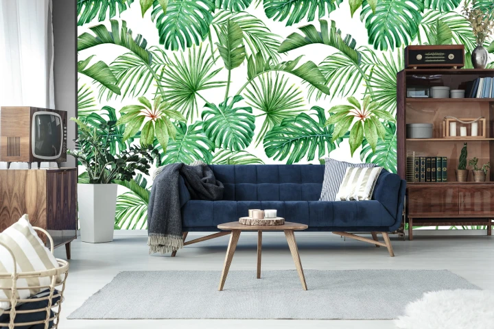 Fototapeta Liście Monstera