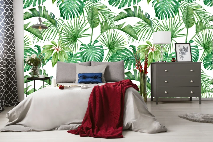 Fototapeta Liście Monstera