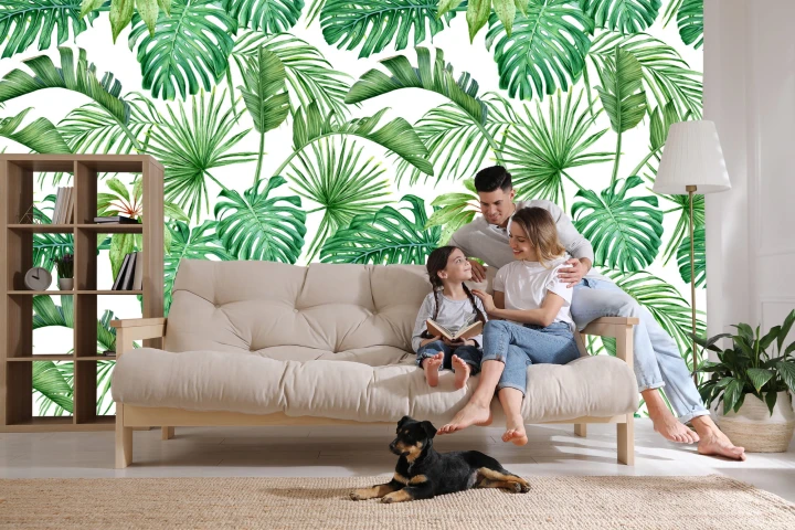 Fototapeta Liście Monstera