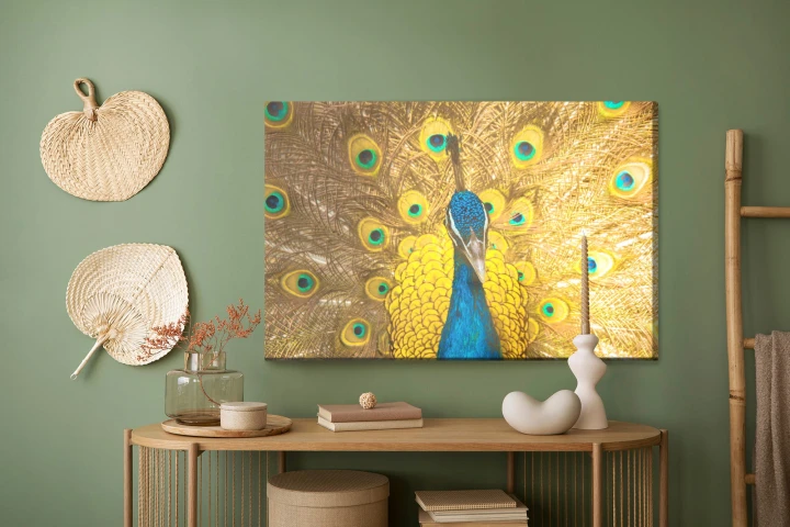 Obraz Na Płótnie Piękny Kolorowy Paw