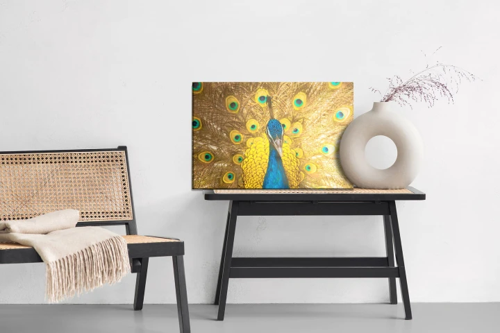 Obraz Na Płótnie Piękny Kolorowy Paw