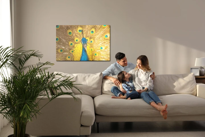 Obraz Na Płótnie Piękny Kolorowy Paw