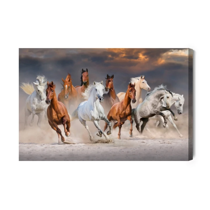 Obraz Na Płótnie Konie Na Pustyni