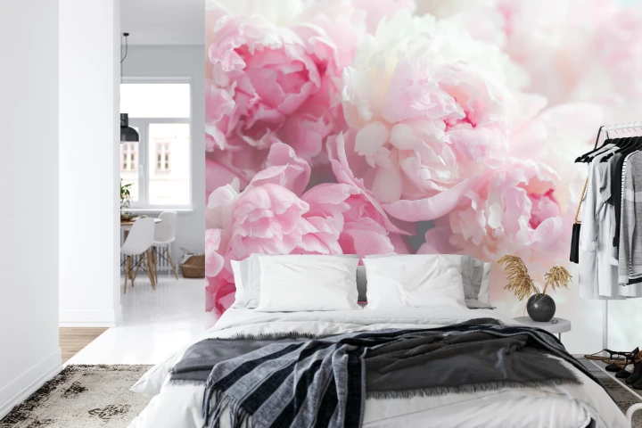 Fototapeta Kwitnące Peonie