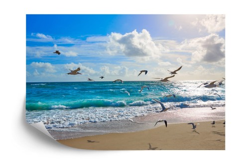 Fototapeta plaża