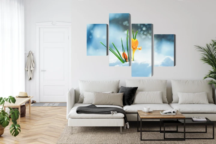 Obraz Wieloczęściowy Żółte Krokusy Przebijające Się Przez Śnieg