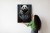 Plakat Miś Panda Ubrany W Dżinsową Kurtkę