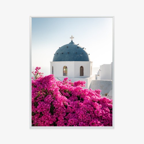 Plakat Typowa Architektura Santorini I Kwitnąca Bugenwilla
