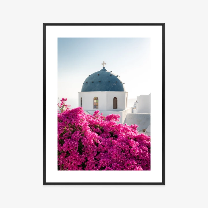 Plakat Typowa Architektura Santorini I Kwitnąca Bugenwilla