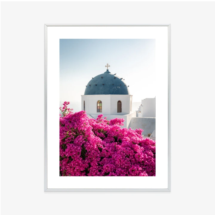 Plakat Typowa Architektura Santorini I Kwitnąca Bugenwilla