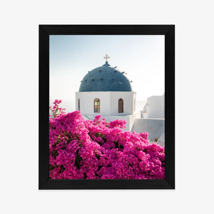 Plakat Typowa Architektura Santorini I Kwitnąca Bugenwilla