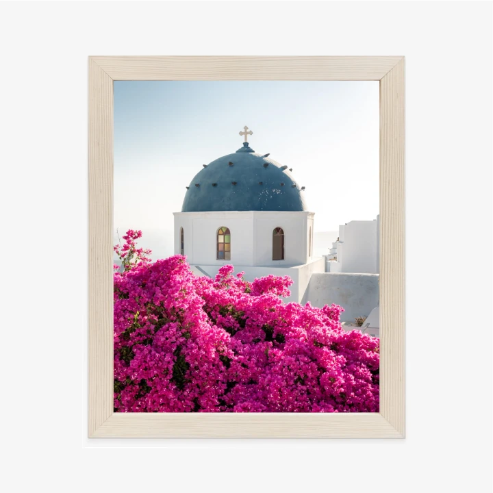 Plakat Typowa Architektura Santorini I Kwitnąca Bugenwilla