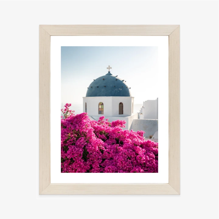 Plakat Typowa Architektura Santorini I Kwitnąca Bugenwilla