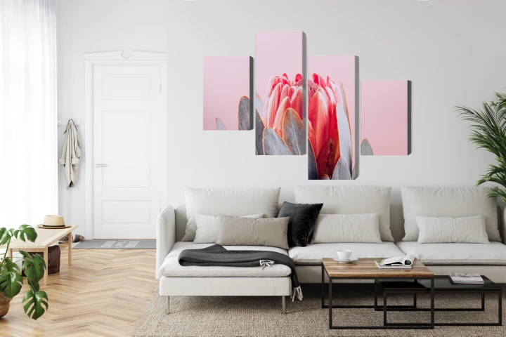 Obraz Wieloczęściowy Kwiat Królewskiej Protei Z Bliska