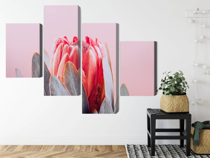 Obraz Wieloczęściowy Kwiat Królewskiej Protei Z Bliska