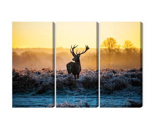 Obraz Wieloczęściowy Jeleń W Rykowisku W 3D