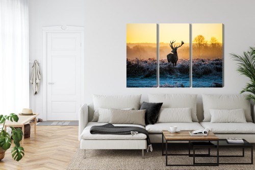 Obraz Wieloczęściowy Jeleń W Rykowisku W 3D