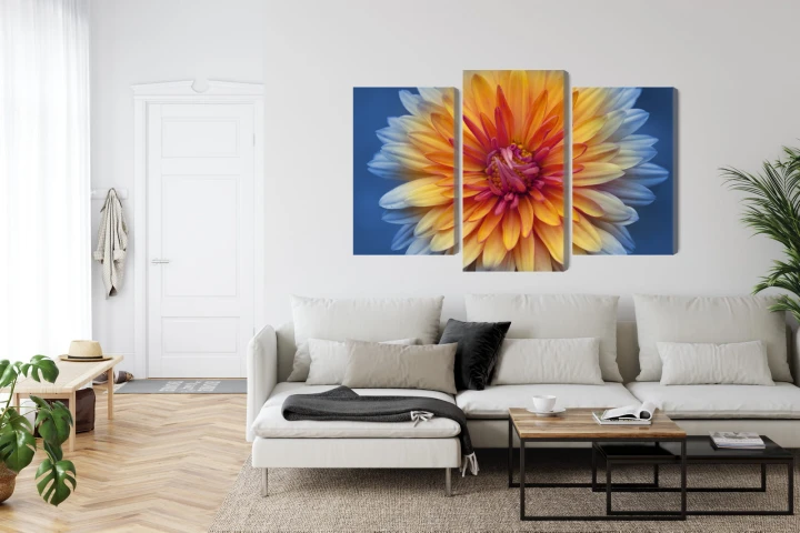 Obraz Wieloczęściowy Kwiat Chryzantemy Z Bliska 3D