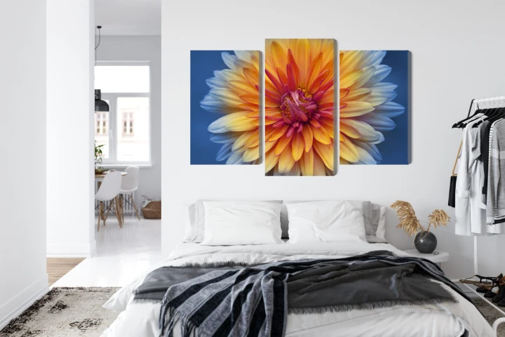 Obraz Wieloczęściowy Kwiat Chryzantemy Z Bliska 3D