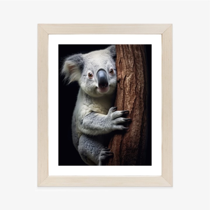 Plakat Miś Koala Obejmujący Drzewo