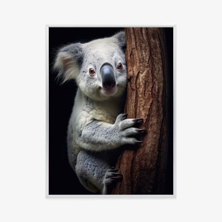 Plakat Miś Koala Obejmujący Drzewo