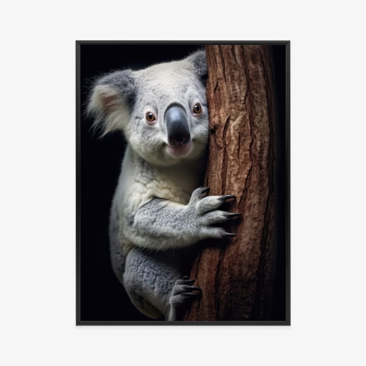 Plakat Miś Koala Obejmujący Drzewo