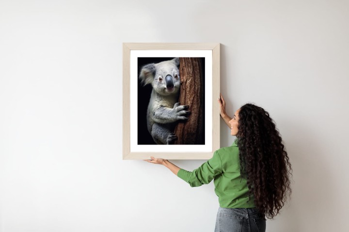 Plakat Miś Koala Obejmujący Drzewo