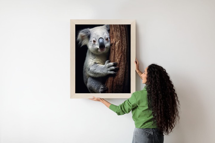 Plakat Miś Koala Obejmujący Drzewo