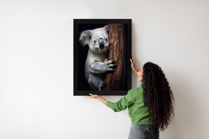 Plakat Miś Koala Obejmujący Drzewo