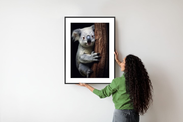 Plakat Miś Koala Obejmujący Drzewo