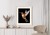 Plakat Koliber W Locie