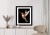 Plakat Koliber W Locie