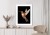 Plakat Koliber W Locie