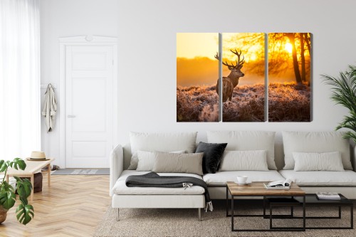 Obraz Wieloczęściowy Jeleń W Lesie O Zachodzie Słońca 3D