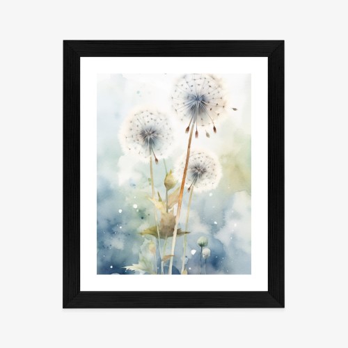 Plakat Trzy Mniszki Lekarskie Na Akwarelowym Tle