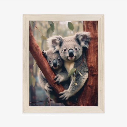 Plakat Dwa Misie Koala Na Gałęzi