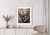 Plakat Dwa Misie Koala Na Gałęzi