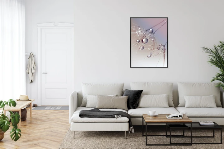 Plakat Rosa Na Różowym Dmuchawcu