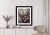 Plakat Dwa Misie Koala Na Gałęzi